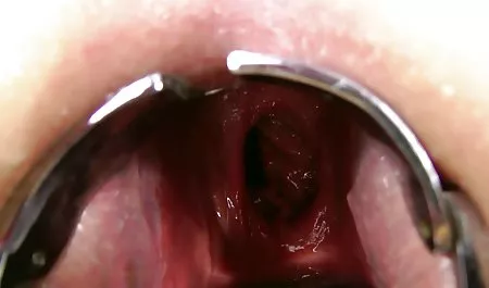 گفتگوی سایت جدید فیلم سکسی شیرین نیکی و صحبت های کثیف لسبی ها و انگشتان دست خود را.