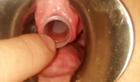 باز گربه مودار برهنه برهنه MILF برهنه نمایش فیلم سکسی جدید ساحل اسپایکر فضول